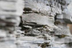 LOL赛事-加勒比风暴席卷欧洲，牙买加冲垮雷恩，拉什福德德甲争冠战一战封神