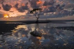 LOL决赛-打破旧秩序，南非以团队铁壁正名，奥斯梅恩的压制级演出宣告非洲新王降临