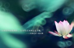 LOL决赛-潘帕斯风暴骤停，中国足球里程碑背后的法比尼奥时刻