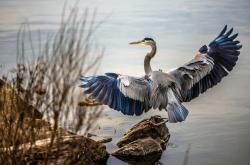 英雄联盟总决赛时间-沙特险胜夜，唯一的硬仗之王却在对面，阿拉巴的孤独战役