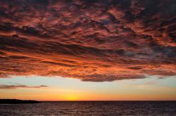 英雄联盟总决赛赛程-冻结机械之心，德罗赞用中投为黄蜂注入旧时代的凶猛血液