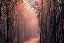 拜仁封神夜!数据铁幕锁死姆巴佩,欧冠登顶的终极密码