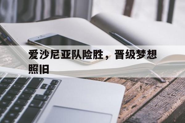 爱沙尼亚队险胜，晋级梦想照旧的简单介绍