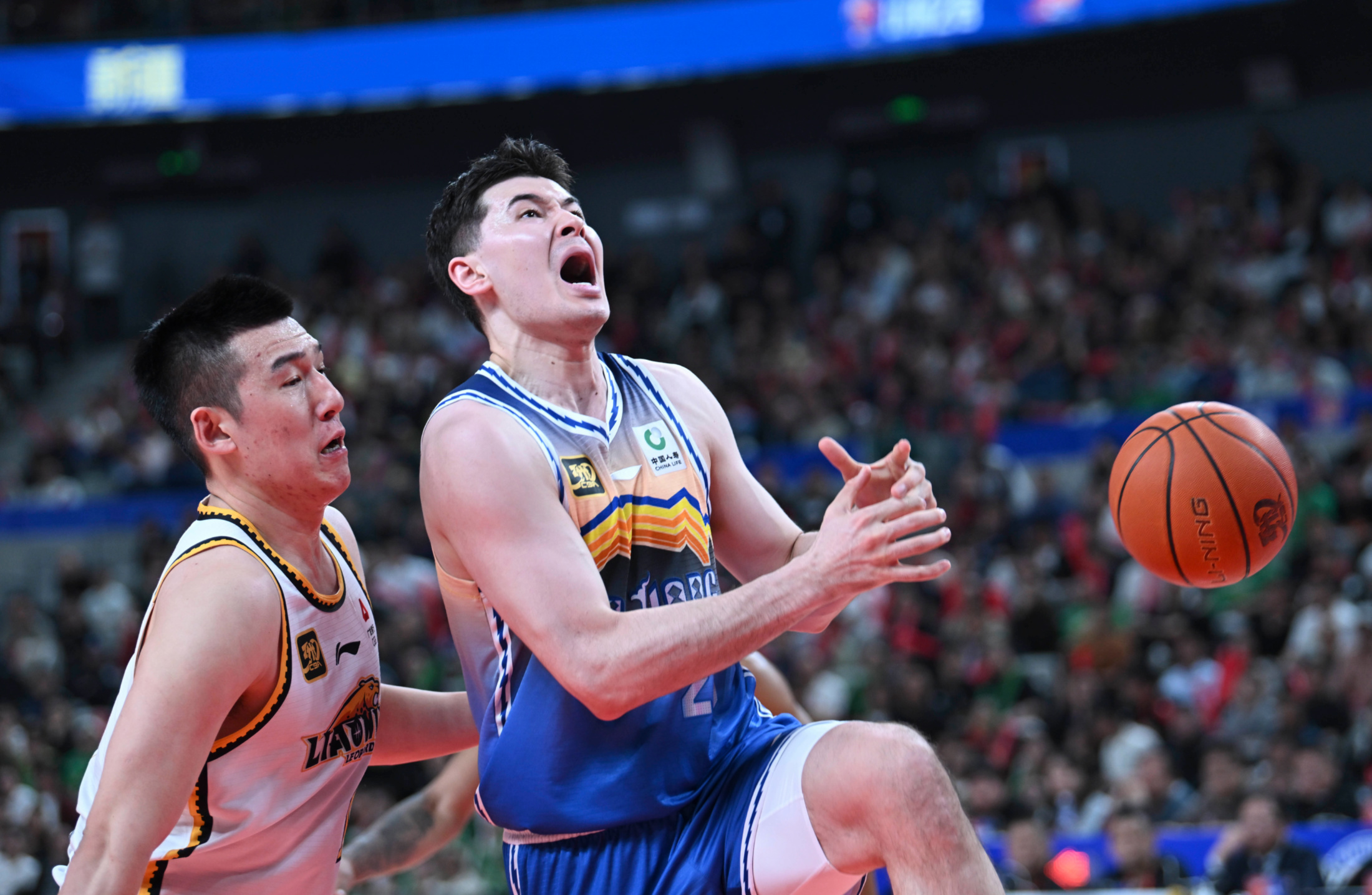 关于北京队力克上海队，赵继伟扛起全队的信息