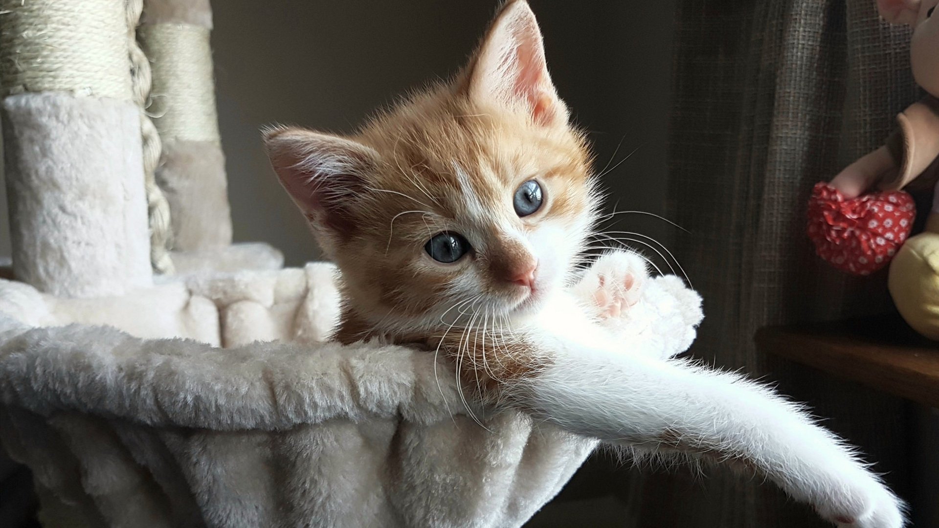 强压破局！尤文终场直击摩洛哥，迪亚斯角旗区致命一击改写结局