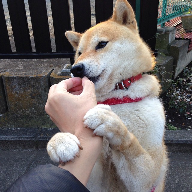 跨界传奇，哈登F1首秀接管揭幕战，爵士同日压制鹈鹕展统治力