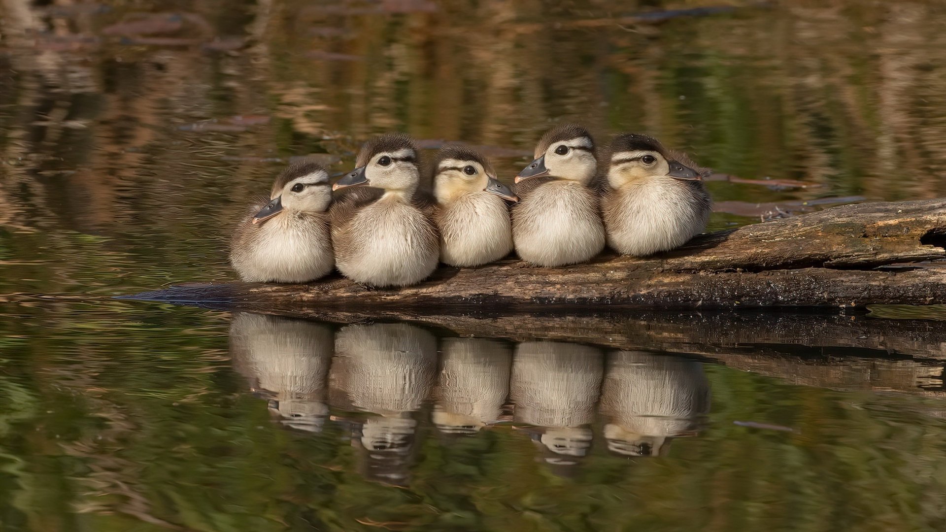 铁血红魔绝境重生！奥亚尔萨瓦尔一剑封喉拯救曼联