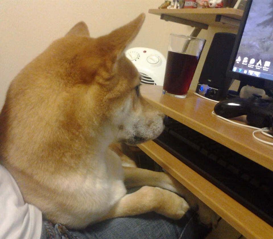 从暗影到皇冠，本泽马如何用沉默淬炼出属于他的夜晚