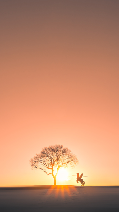 逆命一投！爱德华兹0.2秒献绝杀，上海队险胜国王打破宿命