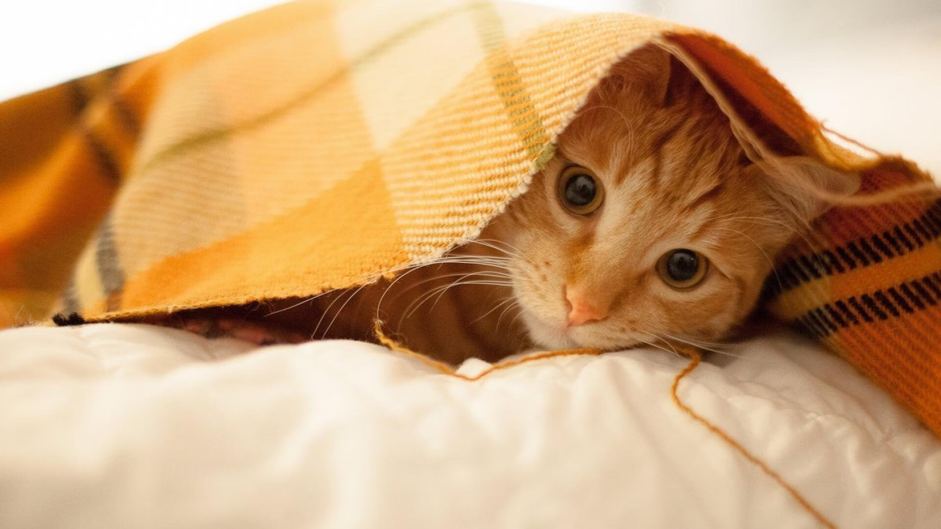 末节与弯道,当时间与空间被绝对掌控