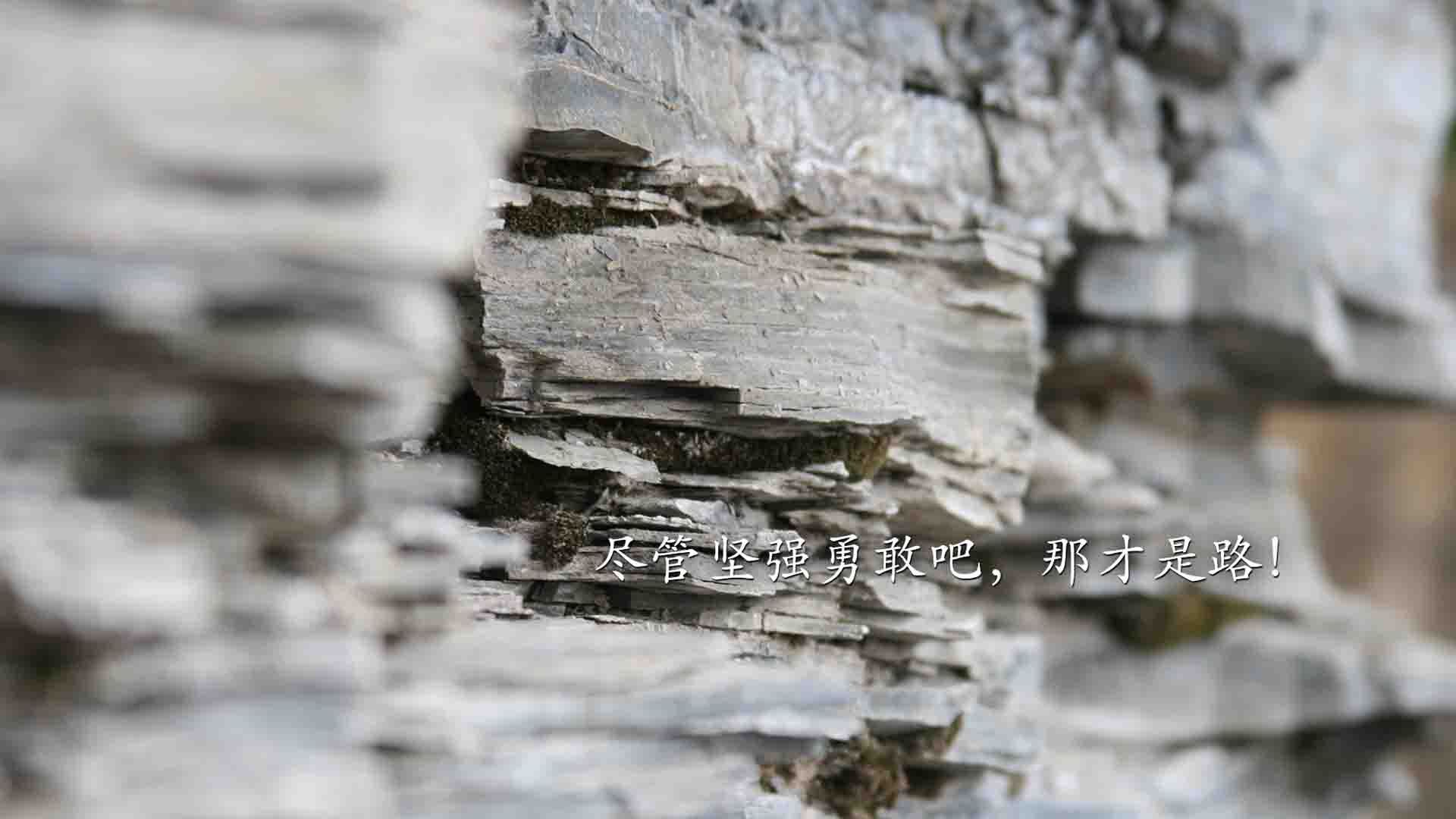 加勒比风暴席卷欧洲，牙买加冲垮雷恩，拉什福德德甲争冠战一战封神