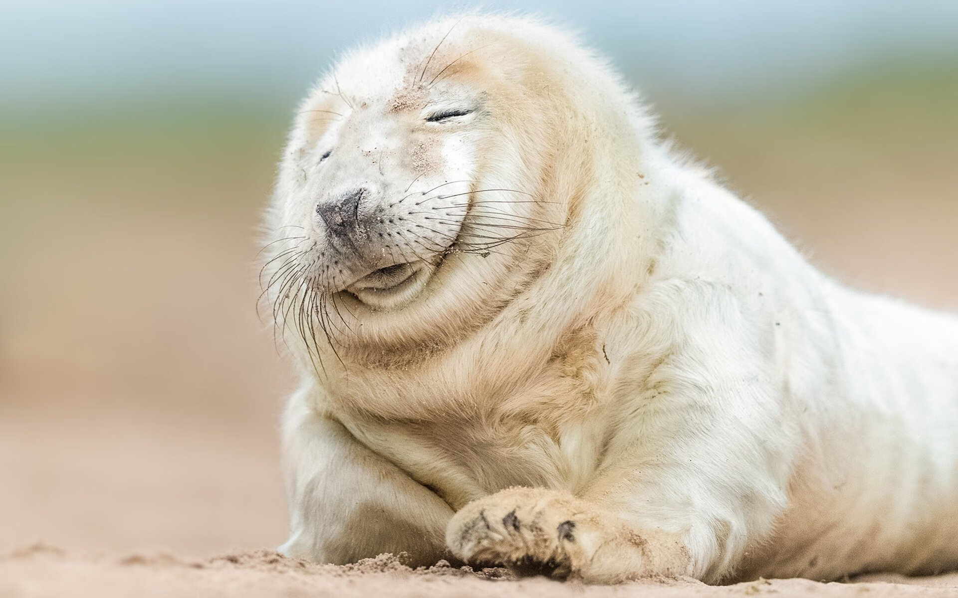 天使双翼，迪马利亚关键节点连续得分，拉齐奥爆冷背后的历史密码