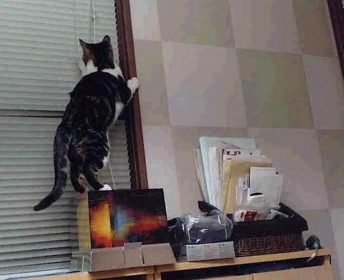 当历史被一球撕裂，开拓者抢七复仇火箭的永恒瞬间