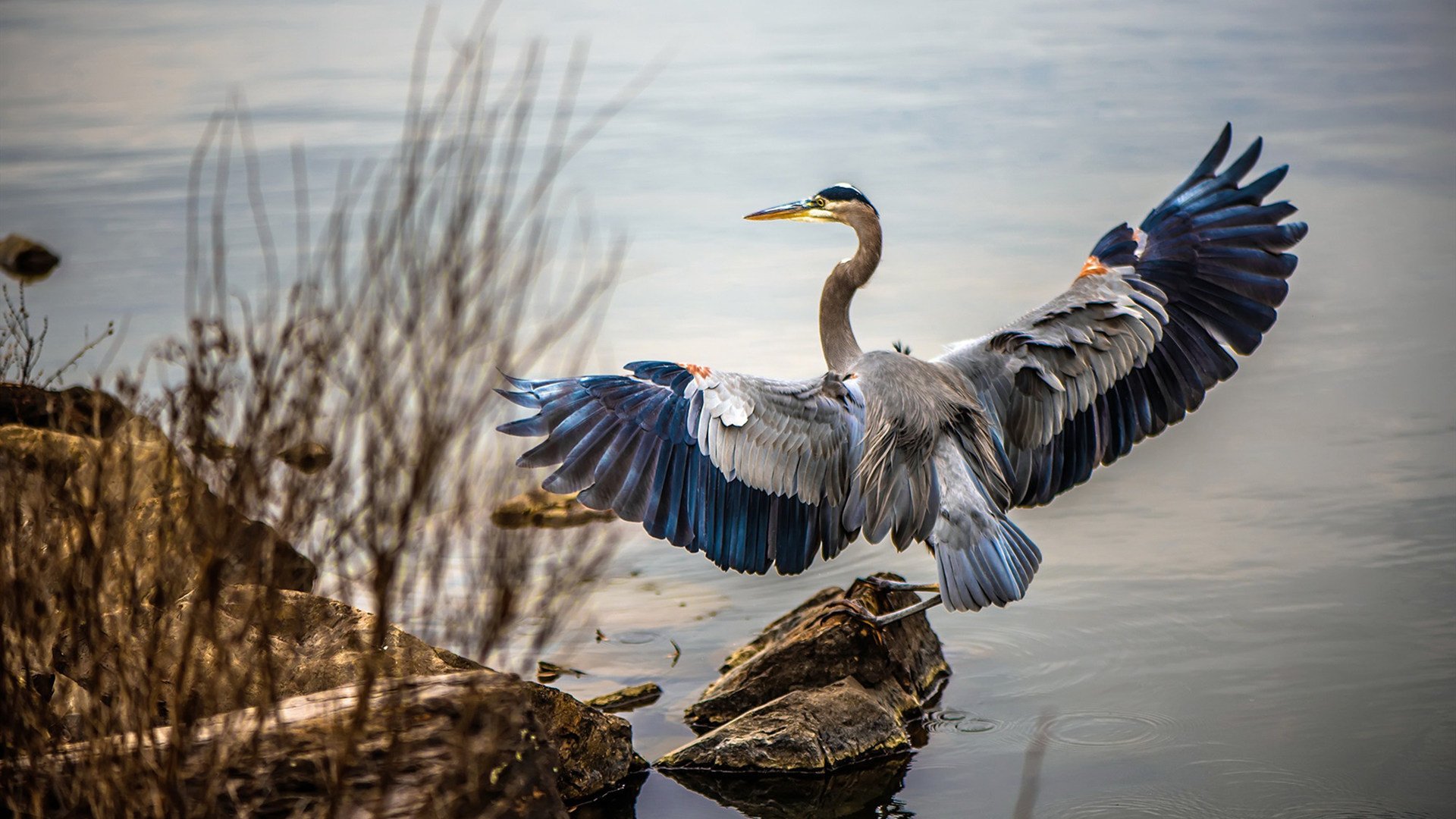沙特险胜夜，唯一的硬仗之王却在对面，阿拉巴的孤独战役