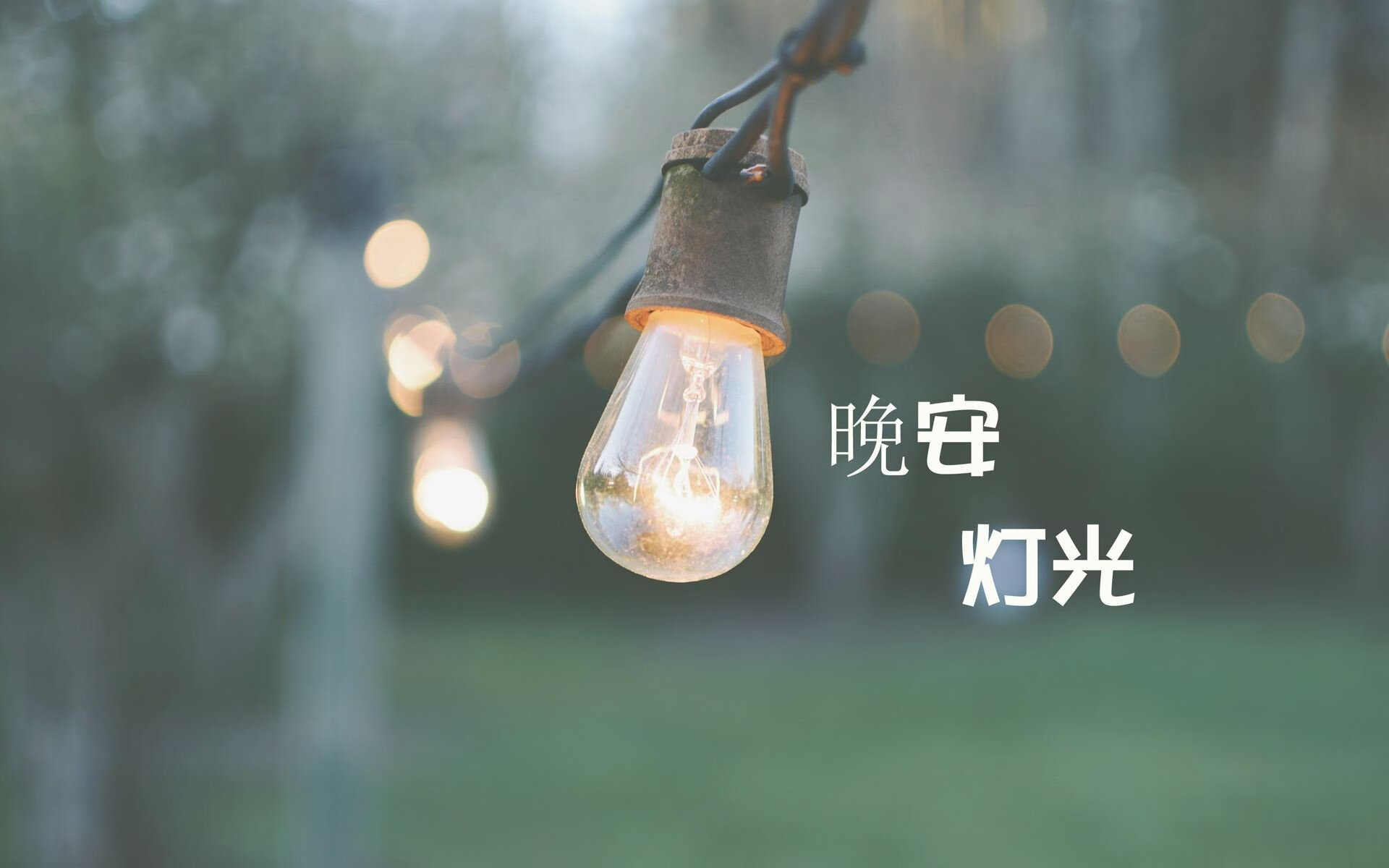 沙漠绿洲的陷落，哥斯达黎加闪电反击撕碎阿联酋，费利克斯导演D组生死战