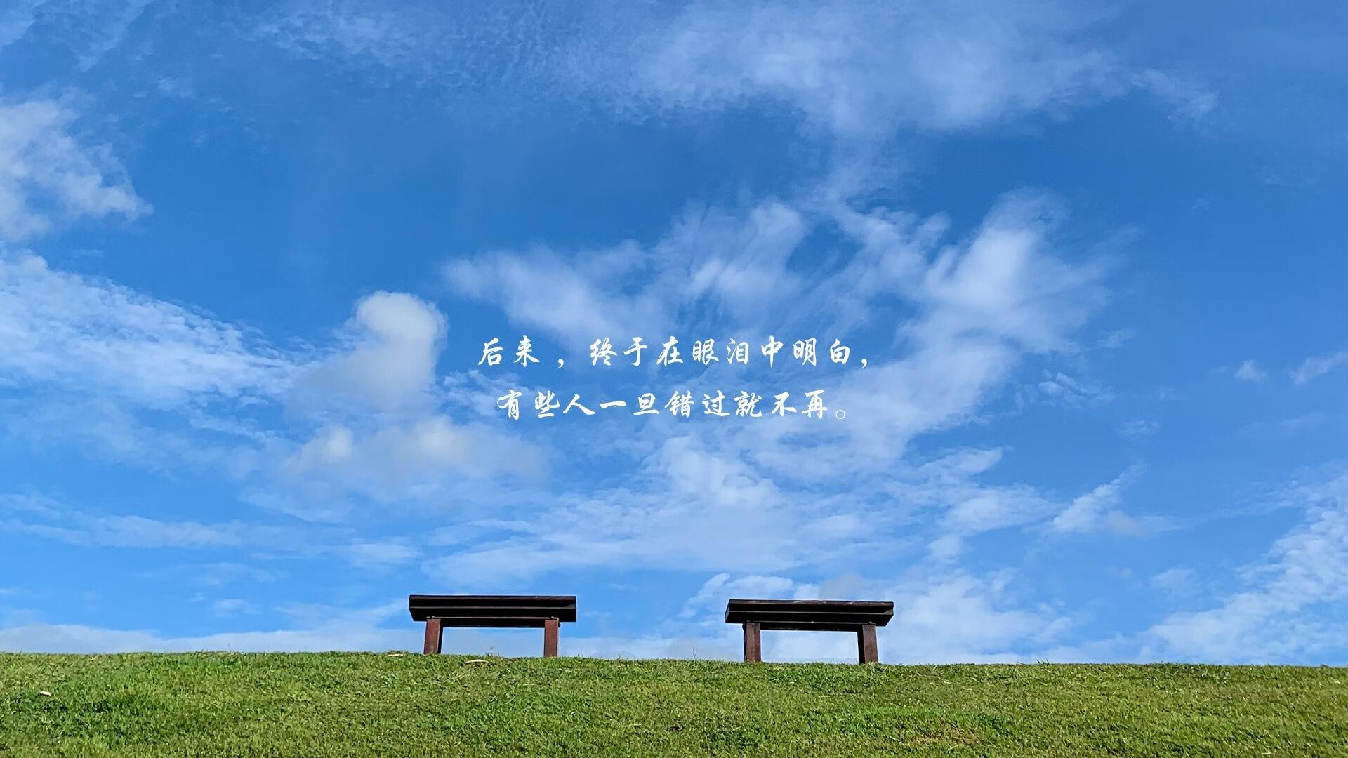 逆转与重生，2026世界杯A组关键战，波兰绝地反击卡塔尔，库尔图瓦的领袖密码