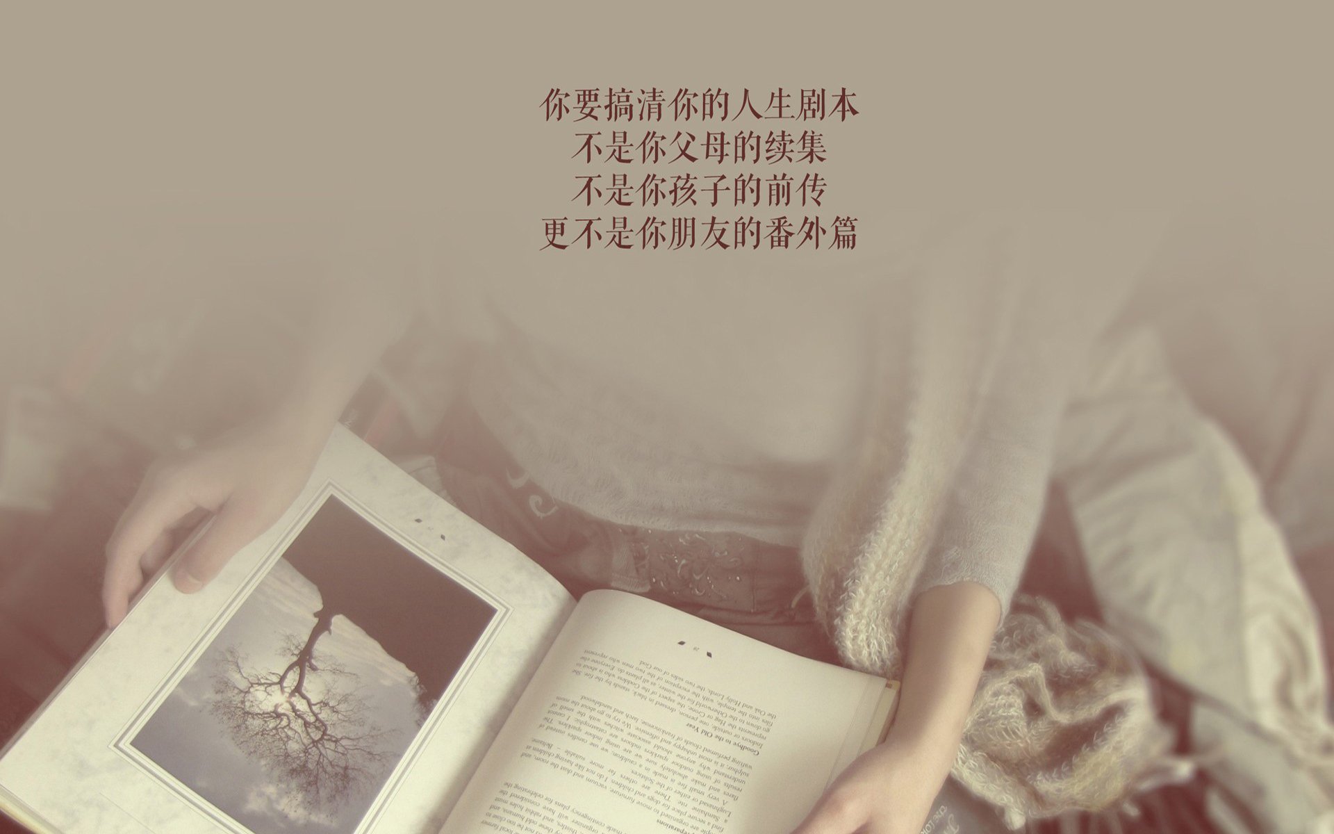 冷风劲吹多哈，阿诺德中场军演，越南足球用一场完胜撕碎旧秩序